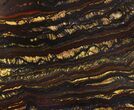 Tiger Iron Stromatolite Shower Tile - Billion Years Old #48781-1